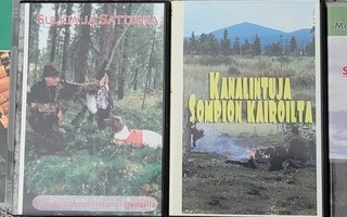 4 kpl Videoita seisojan kanssa metsästyksestä