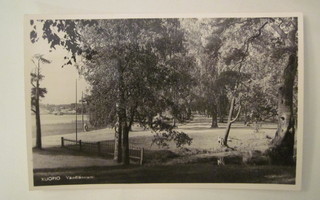 VANHA Postikortti Kuopio 1950-l Alkup.Mallikappale