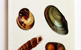 A Field Guide in Colour to Molluscs