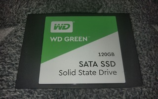 Kovalevy - SSD - 120GB