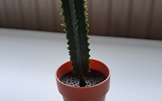 Nukkekotiin muovinen kaktus korkeus noin 11 cm