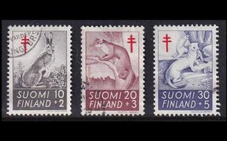 551-3 o Tuberkuloosi metsän eläimiä (1962)