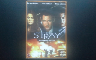 DVD: The Stray (Michael Madsen, Angie Everhart 2000)