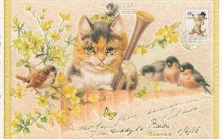 Kissa soittaa linnuille (Tausendschön-kortti)