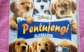 Pentujengi Alaskassa DVD