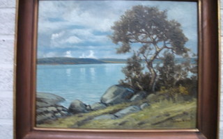 Järvimaisema  A. Heickell