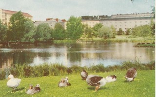 Tampere Sorsapuisto väri p282