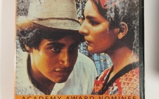 (SL) DVD) El Norte  -  Pako pohjoiseen (1983)
