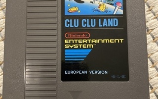 Nes - Clu Clu Land (L)