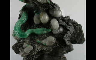 Smaragdi käärme, kuoriutuvat poikaset kalsiitista, lähes 2kg