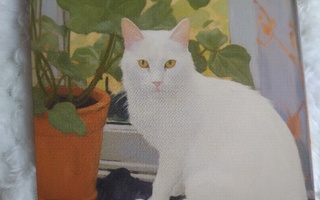 Valkoinen kissa ikkunalla kortti