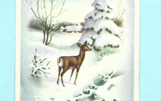 Vanha kortti:  Kauris lumen keslellä, -41