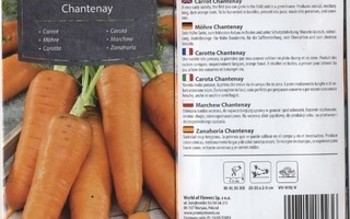 Porkkana "Chantenay" - siemenet