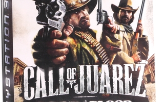 Call Of Juarez: Bound In Blood