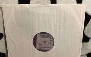 Space Frog – (X Ray) Follow Me 'German Mixes' 12"(Ei kantta)