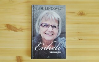 Elise Lindqvist: Enkeli Tukholman yössä
