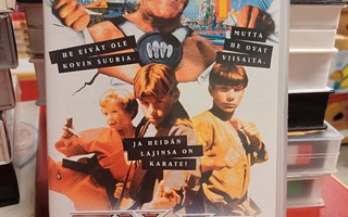 3 ninjaa pistää tuulemaan (Hogan, Anderson) VHS