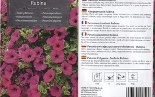 Riippupetunia "Rubina" - siemenet