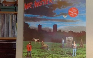 Mr.Mister :: Welcome To The Real World :: Vinyyli  LP 1985