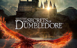 The Secrets Of Dumbledore 4k ultra hd + blu ray 2022