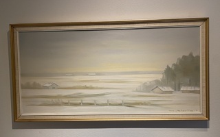 Tuomas Nelimarkka 1971, öljyväri maalaus.