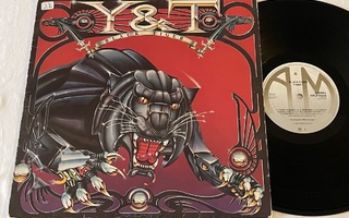 Y & T – Black Tiger (LP)