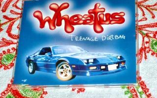 CD Maxi Single Teenage Dirtbag - Wheatus