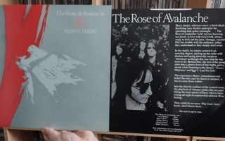 The Rose Of Avalanche – Always There (vinyyli LP)