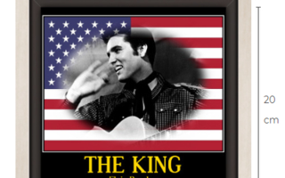 Elvis Presley canvastaulu kehystetty