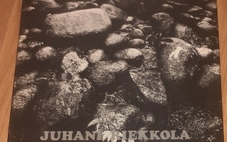 Juhani Riekkola: Pispala