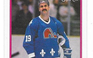 1988-89 OPC #205 Alain Cote Quebec Nordiques