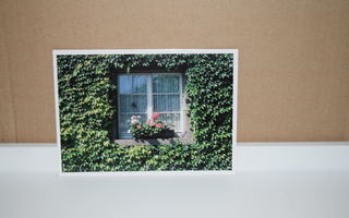 postikortti ikkuna kukka