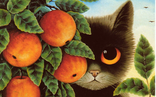 Anna Hollerer - Musta kissa kurkistaa appelsiinien takaa