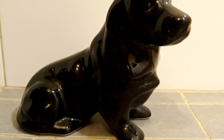 Musta keraaminen koira (istuva spanieli)