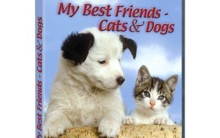 My Best Friends - Cats And Dogs (PC-peli) ALE!