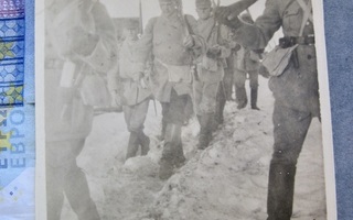 VANHA Valokuva Valkoiset Suojeluskunta Vöyri 1918