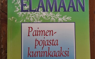 Signeerattu Jukka Norvanto RAAMATTU ELÄMÄÄN