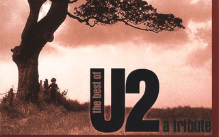 The Best Of U2 - A Tribute - Studio 99 (CD) MINT!!