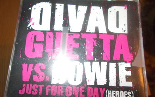CDM DAVID GUETTA vs BOWIE ** JUST FOR ONE DAY ( HEROES ) **