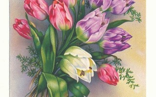 Tulppaanikimppu - vanha kortti