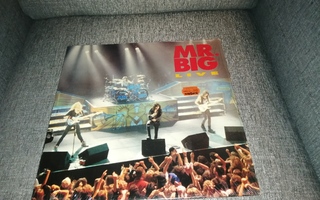 Mr. Big: Live LP