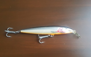 Rapala magnum