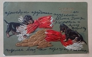 Koirat avaavat paukkukaramellin rahakätkön, Uusi Vuosi, 1907