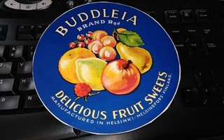 Buddeleia hedelmä tuote-etiketti 16cm