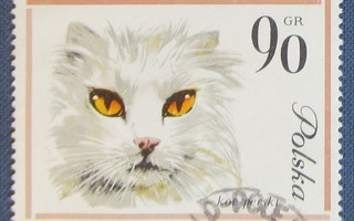 Puola 1964 o  kissaeläin 90 gr