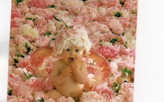 °°VAUVA...& PIONINKUKAT°° -KORTTI /Anne Geddes