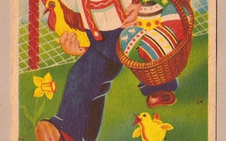 Poika kana tipu munakori (U.K. 6/10) käytetty kortti