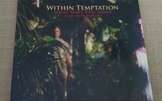 Within Temptation - What Have You Done CD SINGLE