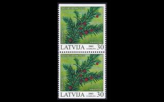 Latvia 588D ** Marjakuusi (2003)