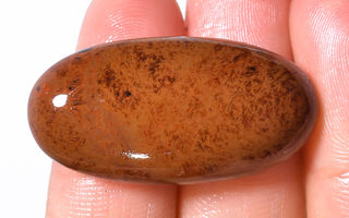 Erikoisempi väri ruskea obsidiaani 29.70 ct pyörtöhiottu